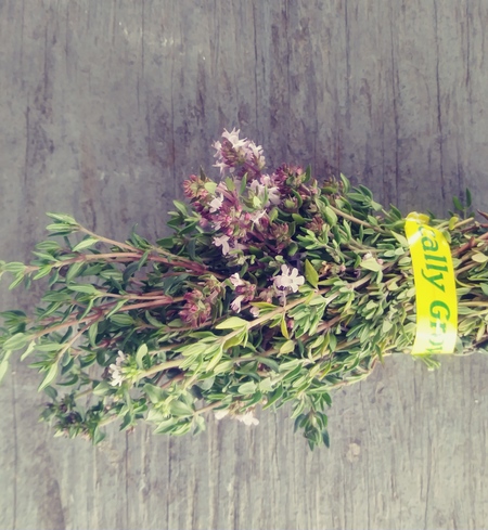 Herb, Thyme