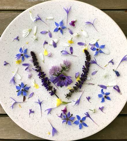 Edible Flower Mix