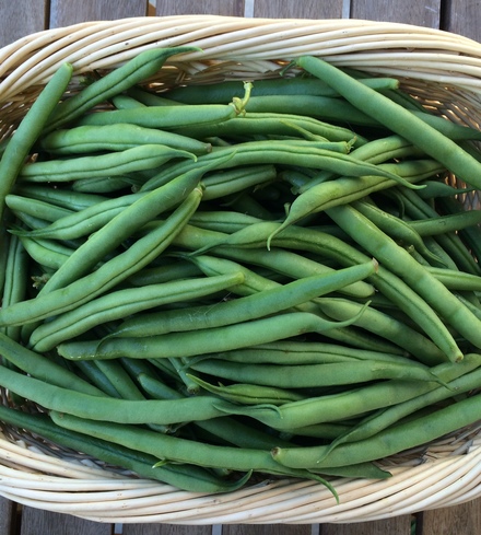 Green Beans