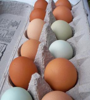 Eggs