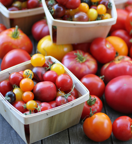 Tomato