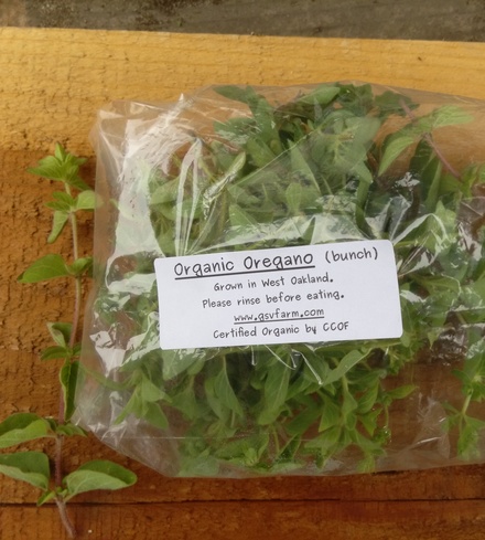 Organic Oregano
