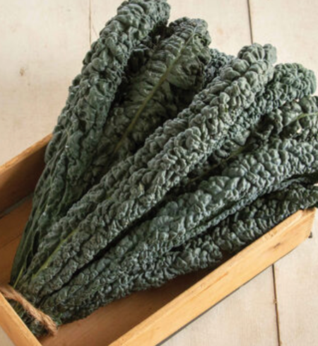 Kale, Toscano