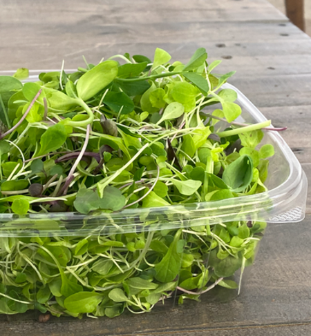 Microgreens, Spring Mix