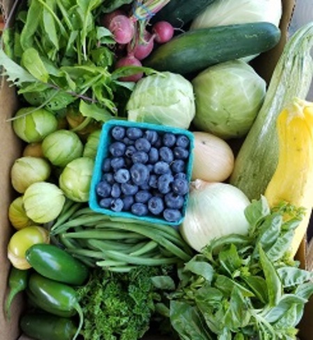 Soundbite CSA
