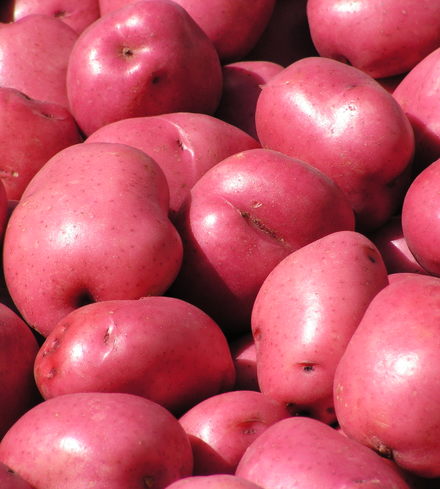 Red Potatoes