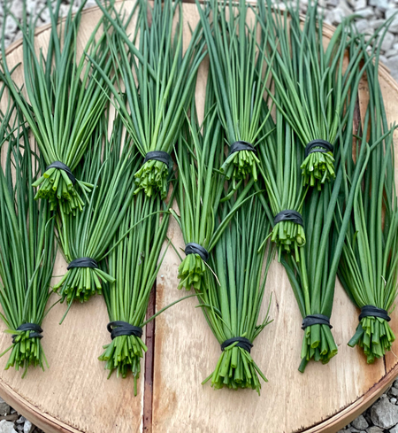 Herbs, Chives