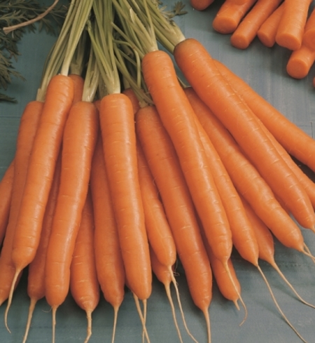 Orange Carrots