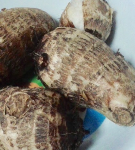 Baby Taro