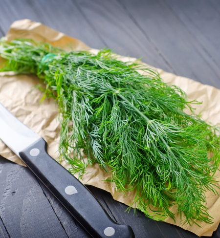 Herbs, Dill