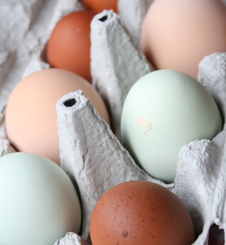 Free Range Farm Eggs