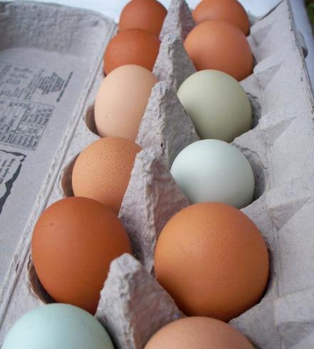 Eggs