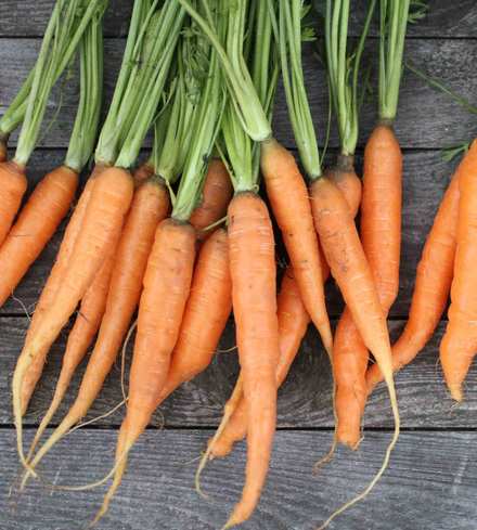 Carrots