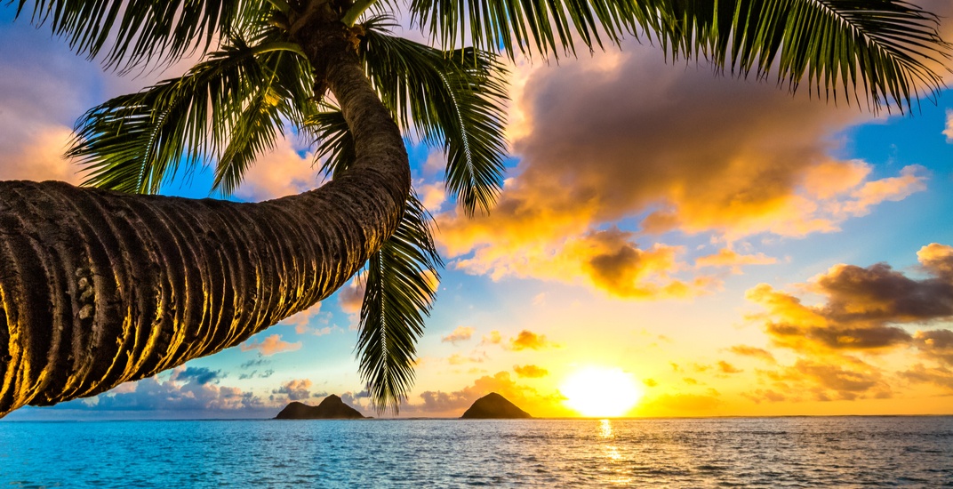 You can fly from Toronto to Hawaii for under 470 this winter and