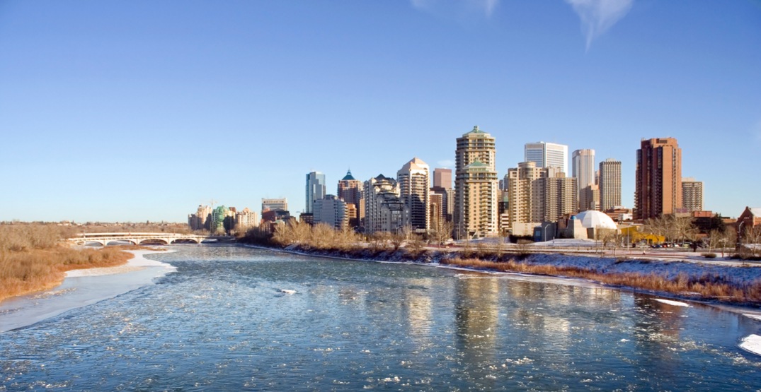5 things to do in Calgary today Tuesday, January 1 Listed