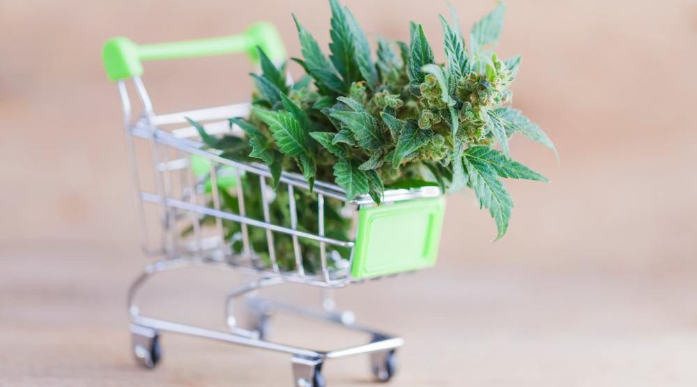 Toronto council votes to allow private cannabis retail stores Toronto council votes to allow private cannabis retail stores