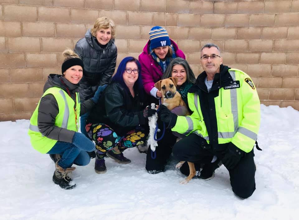 Hundreds pack animal shelter to keep dogs company on Christmas Curated