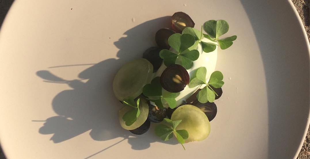 Toronto is getting a new plant-focused spot for fine dining