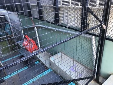 HELP us install a rail at Frankston skatepark