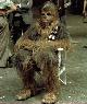 Chewbacca