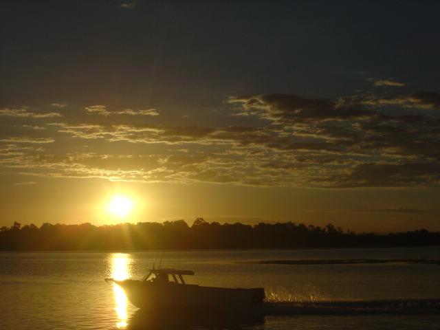 Miscellaneous Pictures