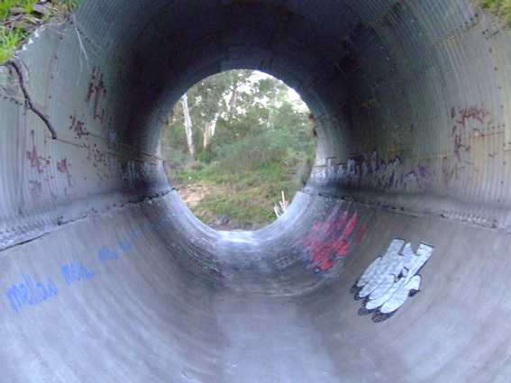 Shit I would like to skate.