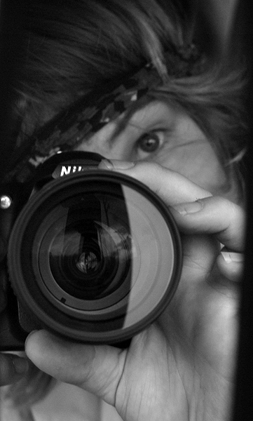 RE: Miscellaneous Pictures