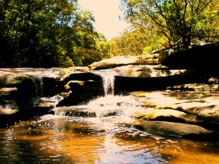 Miscellaneous Pictures
