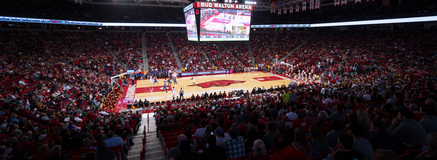 Arkansas-Pine Bluff Golden Lions at Arkansas Razorbacks Mens Basketball (Exhibition)