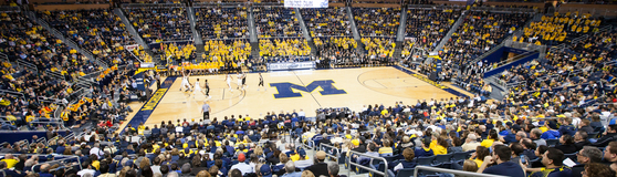Minnesota Golden Gophers at Michigan Wolverines Mens Basketball