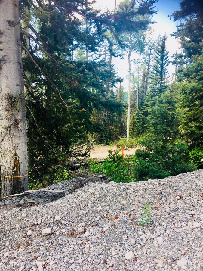 27503 A piece of Heaven close to Eagle Point Ski Resort. It's a perfect lot on a perfect .55 acre lot at a very reasonable price. Roads and water system are maintained by the Elk Meadows Special Service District @ 175.00 quarterly.