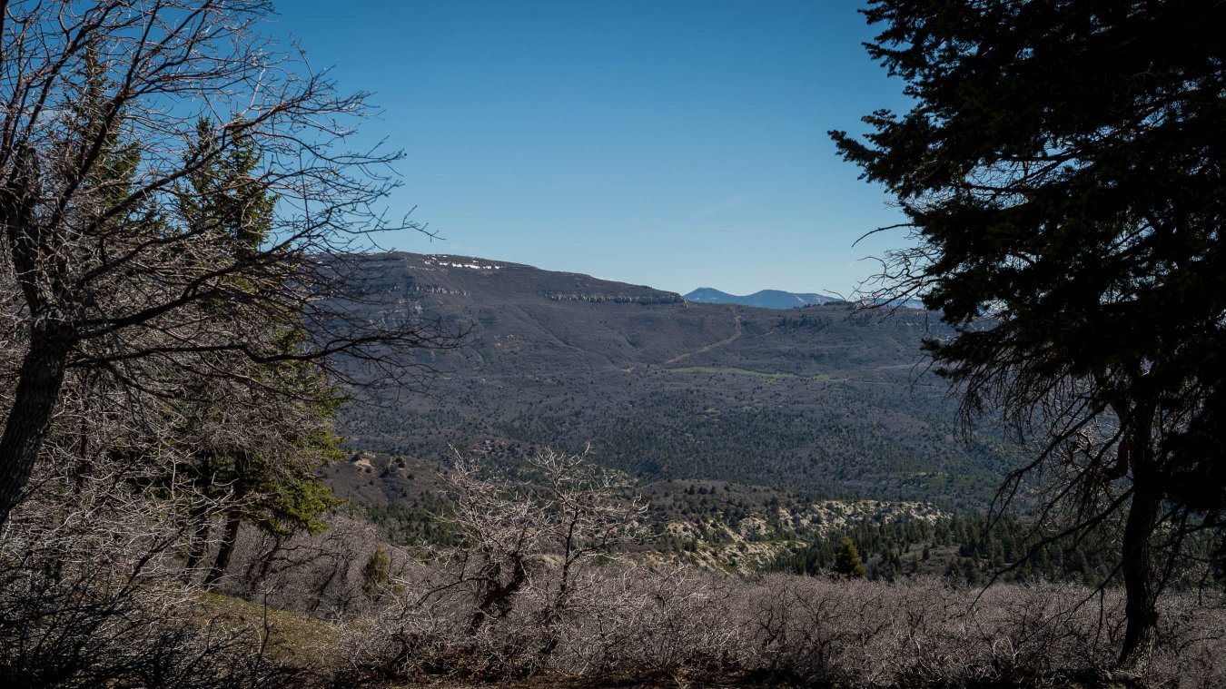 17018 Rare .71 acre level lot in the easy-to-access Woodland Retreat Subdivision. Minutes from beautiful Kolob Reservoir with great fishing and relaxing by the lake. Unobstructed views of Zion National Park area to the East. Delicious, clean mountain water piped directly to the lot by Washington County Conservancy District. Vacation rentals allowed in the area.