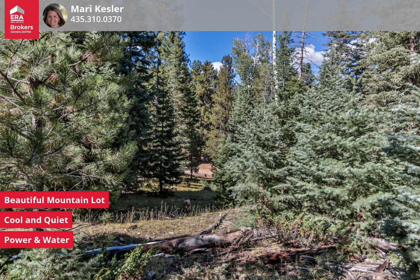 22201 A secluded one acre piece of property among the trees to bring your trailer or build a cabin! Power and water are stubbed to lots. Just minutes from lots of fun fishing, ATV trails for 4 wheeling or just getting out of the heat and enjoying the peace and quiet of our beautiful mountains!