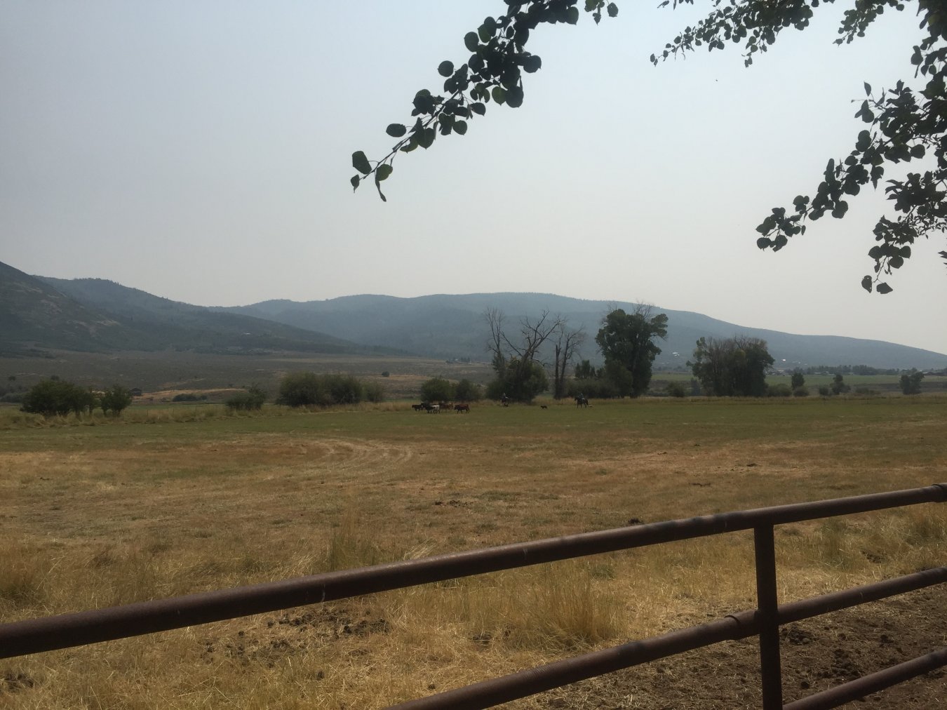 25811 Oakley. Flat lot with great views of the valley. Rural area close to Park City. 5 lot subdivision right on Boulderville, Whispering Meadows. Animals welcome. Call with questions. Land is selling fast in this area.