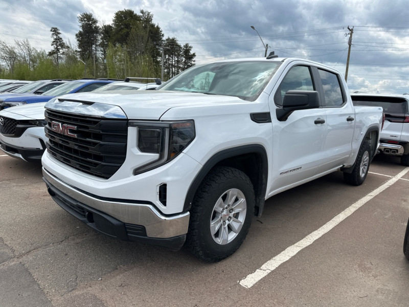 2023 GMC Sierra 1500 Pro Crew Cab 4WD