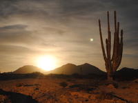 Moon over the Sonoran Desert Moon over the Sonoran Desert