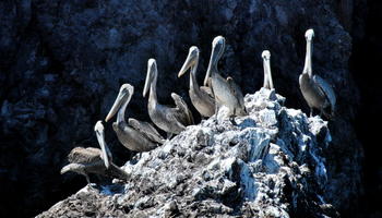Kino Bay Center at Prescott College
