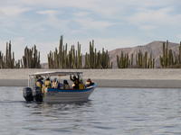 Island Boat Outing Island Boat Outing