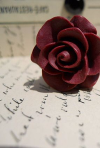 Book cover image for The love that produces bruises ( a collection of poems about love)