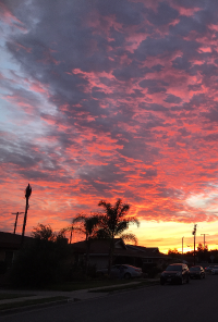 Book cover image for a compilation