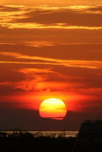 Book cover image for The Transmuted