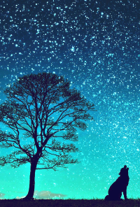 Book cover image for Paradys