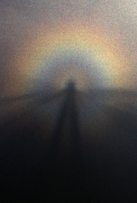 Book cover image for The Anastomosis of Dr. Semicolon