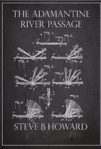 Book cover image for The Adamantine River Passage