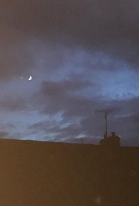 Book cover image for home alone