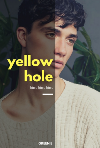 Book cover image for Yellow Hole