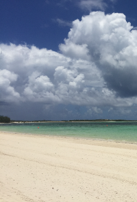 Book cover image for Therapy in Verse