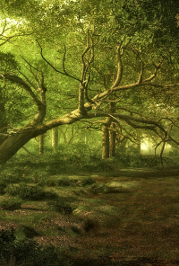 Book cover image for Well-Traveled Knight