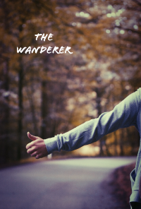 Book cover image for The Wanderer
