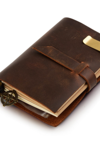 Book cover image for The Journal of a Girl Named Cloud